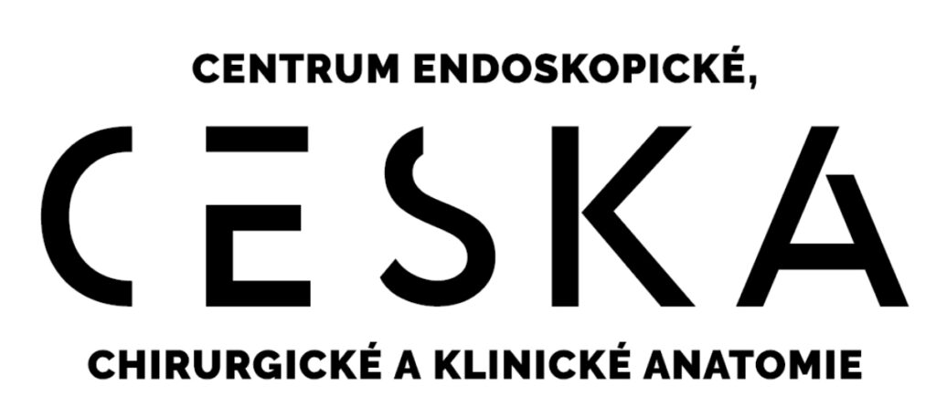 Logo - CESKA